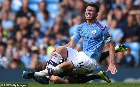 Những bản hợp đồng thành công nhất kỳ chuyển nhượng mùa đông tại Ngoại hạng Anh trong 10 năm qua ảnh 5 Những bản hợp đồng thành công nhất kỳ chuyển nhượng mùa đông tại Ngoại hạng Anh trong 10 năm qua ảnh 5