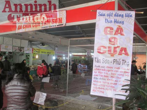 Ngắm tận mắt gà 9 cựa, cá chép “khủng“ ảnh 1 Ngắm tận mắt gà 9 cựa, cá chép “khủng“ ảnh 1