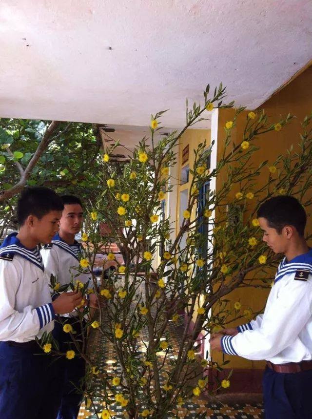Những khoảnh khắc thiêng liêng, ấn tượng ở Trường Sa ngày Tết ảnh 5 Những khoảnh khắc thiêng liêng, ấn tượng ở Trường Sa ngày Tết ảnh 5