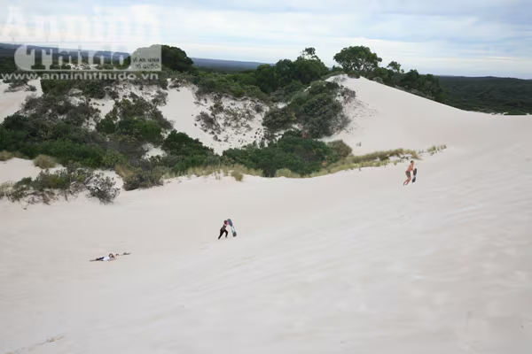 Bảy ngày vòng quanh Australia (4): Độc đáo đảo Kangaroo! ảnh 7 Bảy ngày vòng quanh Australia (4): Độc đáo đảo Kangaroo! ảnh 7