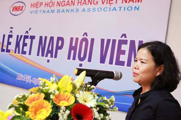 Công ty sở hữu 123Pay, Zalo Pay gia nhập Hiệp hội Ngân hàng Việt Nam ảnh 2