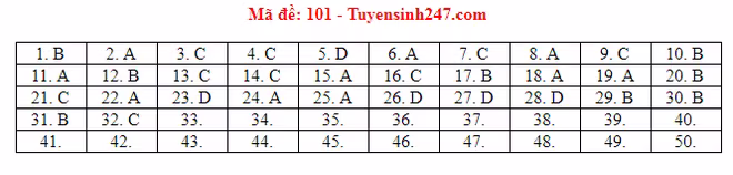 Đáp án tham khảo môn Toán trong Kỳ thi THPT Quốc gia 2019 [NÓNG] ảnh 2