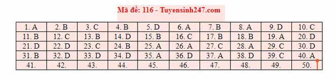 Đáp án tham khảo môn Toán trong Kỳ thi THPT Quốc gia 2019 [NÓNG] ảnh 8