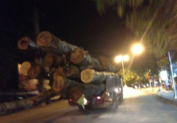 15.000 sản phẩm nhái trà trộn vào hàng thương hiệu ảnh 4 15.000 sản phẩm nhái trà trộn vào hàng thương hiệu ảnh 4