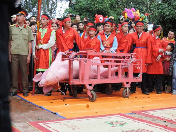Cần chấm dứt lễ hội chém lợn tại Bắc Ninh ảnh 1 Cần chấm dứt lễ hội chém lợn tại Bắc Ninh ảnh 1