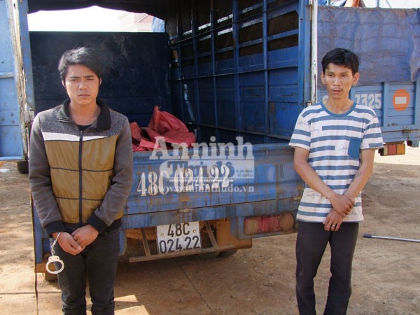 Dùng súng điện bắn, bắt trộm 32 con chó chỉ trong hơn 2 tiếng đồng hồ ảnh 1 Dùng súng điện bắn, bắt trộm 32 con chó chỉ trong hơn 2 tiếng đồng hồ ảnh 1