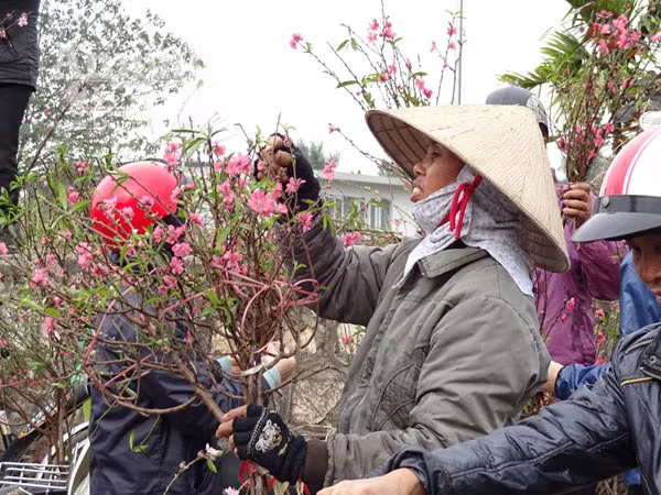Đổ xô đi mua hoa giá rẻ gây ùn tắc cục bộ trên đường Âu Cơ ảnh 7 Đổ xô đi mua hoa giá rẻ gây ùn tắc cục bộ trên đường Âu Cơ ảnh 7