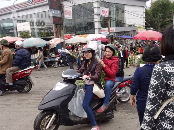 Đổ xô đi mua hoa giá rẻ gây ùn tắc cục bộ trên đường Âu Cơ ảnh 8 Đổ xô đi mua hoa giá rẻ gây ùn tắc cục bộ trên đường Âu Cơ ảnh 8