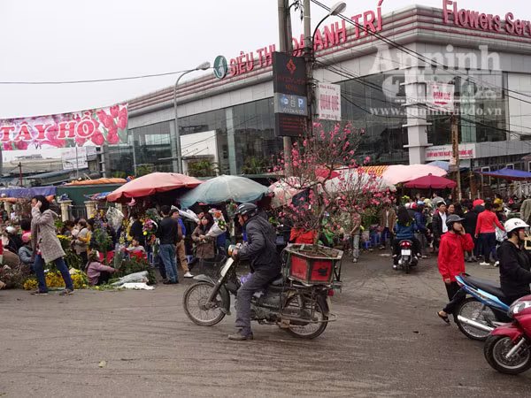 Đổ xô đi mua hoa giá rẻ gây ùn tắc cục bộ trên đường Âu Cơ ảnh 11 Đổ xô đi mua hoa giá rẻ gây ùn tắc cục bộ trên đường Âu Cơ ảnh 11