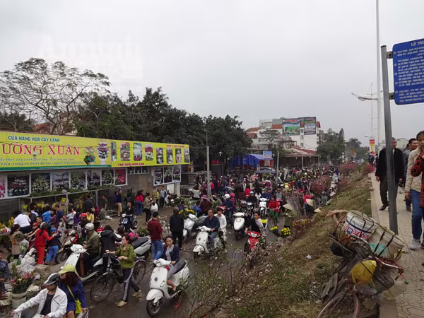 Đổ xô đi mua hoa giá rẻ gây ùn tắc cục bộ trên đường Âu Cơ ảnh 1 Đổ xô đi mua hoa giá rẻ gây ùn tắc cục bộ trên đường Âu Cơ ảnh 1