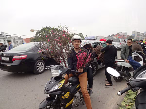 Đổ xô đi mua hoa giá rẻ gây ùn tắc cục bộ trên đường Âu Cơ ảnh 9 Đổ xô đi mua hoa giá rẻ gây ùn tắc cục bộ trên đường Âu Cơ ảnh 9