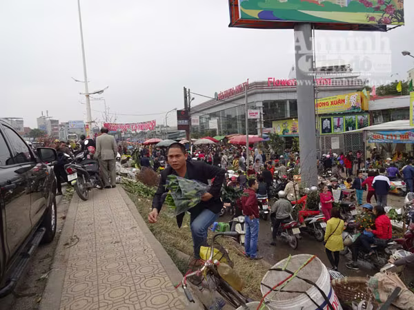 Đổ xô đi mua hoa giá rẻ gây ùn tắc cục bộ trên đường Âu Cơ ảnh 10 Đổ xô đi mua hoa giá rẻ gây ùn tắc cục bộ trên đường Âu Cơ ảnh 10