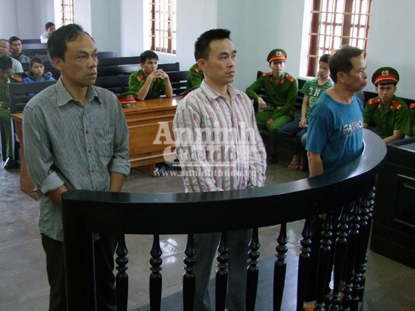 Rủ nhau trồng cần sa, bố vợ và con rể cùng nhau lĩnh án ảnh 1 Rủ nhau trồng cần sa, bố vợ và con rể cùng nhau lĩnh án ảnh 1