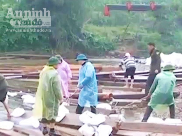 Hà Tĩnh: Lâm tặc ngang nhiên vận chuyển gỗ lậu, 6 cán bộ bị kỷ luật ảnh 1 Hà Tĩnh: Lâm tặc ngang nhiên vận chuyển gỗ lậu, 6 cán bộ bị kỷ luật ảnh 1