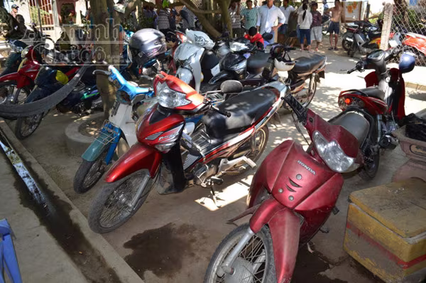 Triệt phá trường gà lớn núp bóng quán cà phê ảnh 5