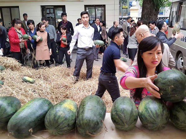 Dưa ngọt nhưng không bùi... ảnh 2 Dưa ngọt nhưng không bùi... ảnh 2
