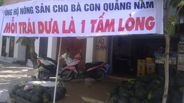 Dưa ngọt nhưng không bùi... ảnh 1 Dưa ngọt nhưng không bùi... ảnh 1