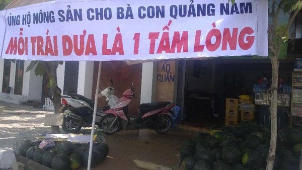 Dưa ngọt nhưng không bùi... ảnh 1 Dưa ngọt nhưng không bùi... ảnh 1