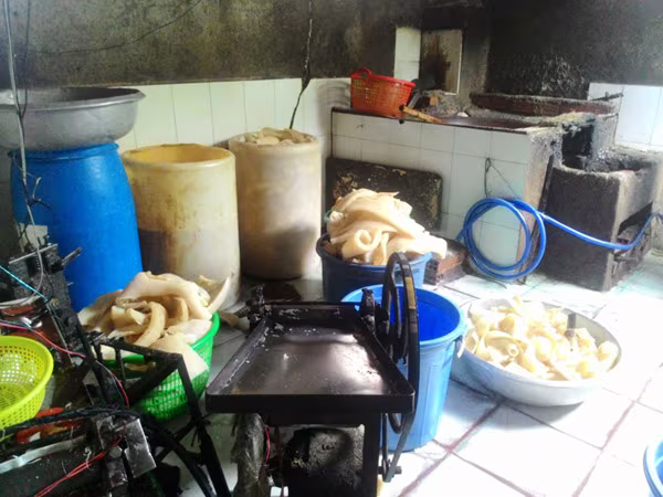 TP.HCM: Phát hiện lò sản xuất bì lợn bẩn, ngâm tẩm hóa chất ảnh 1 TP.HCM: Phát hiện lò sản xuất bì lợn bẩn, ngâm tẩm hóa chất ảnh 1