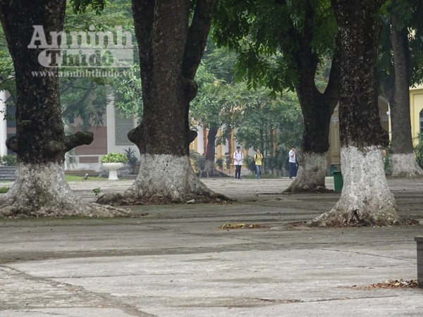 Tuyển sinh lớp 10: Đề Văn “dễ thở”, thí sinh kỳ vọng đạt điểm cao ảnh 1 Tuyển sinh lớp 10: Đề Văn “dễ thở”, thí sinh kỳ vọng đạt điểm cao ảnh 1