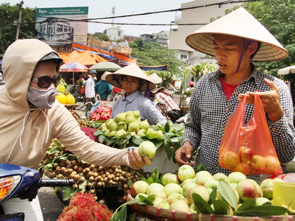 Đào Trung Quốc "gắn mác" đào Sa Pa đổ về Hà Nội ảnh 1