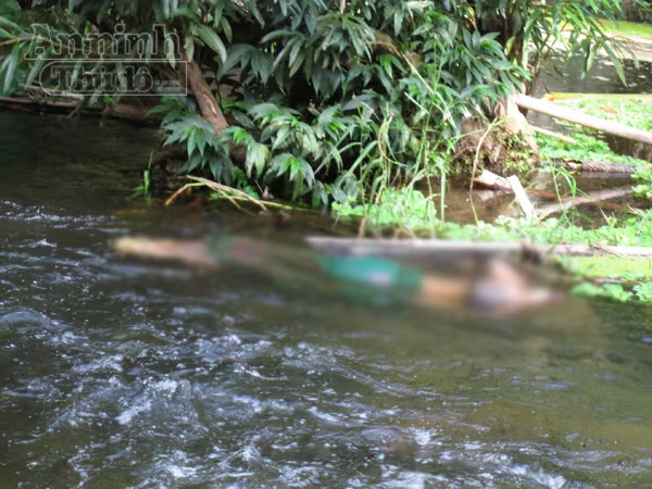 Vụ sát hại 4 người chấn động ở Nghệ An: Ra tay tàn độc vì chuyện cỏn con ảnh 2