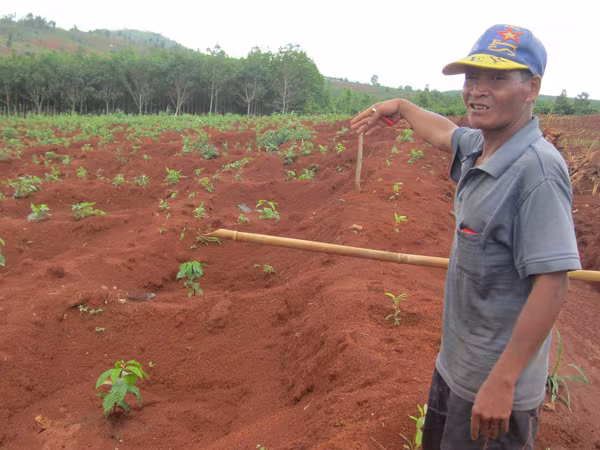 Sự thật về lời đồn bị thần linh trừng phạt khiến cả làng hoang mang ảnh 1 Sự thật về lời đồn bị thần linh trừng phạt khiến cả làng hoang mang ảnh 1