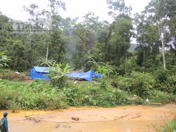 Tập kích bãi vàng suối Đa, sông Bua, bắt giữ 18 đối tượng khai thác vàng trái phép ảnh 3