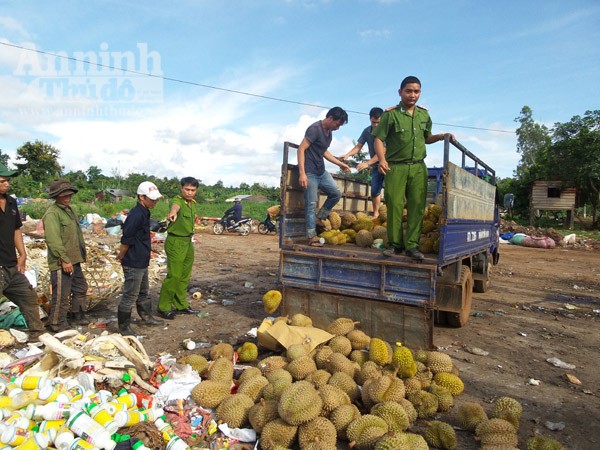 Tiêu huỷ 1.400kg sầu riêng nhúng hoá chất ảnh 1 Tiêu huỷ 1.400kg sầu riêng nhúng hoá chất ảnh 1
