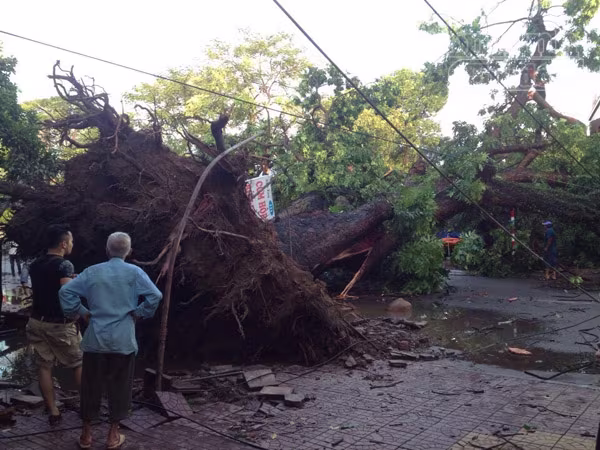 Mưa lớn kéo dài, Hải Phòng chìm trong "biển nước" ảnh 11 Mưa lớn kéo dài, Hải Phòng chìm trong "biển nước" ảnh 11