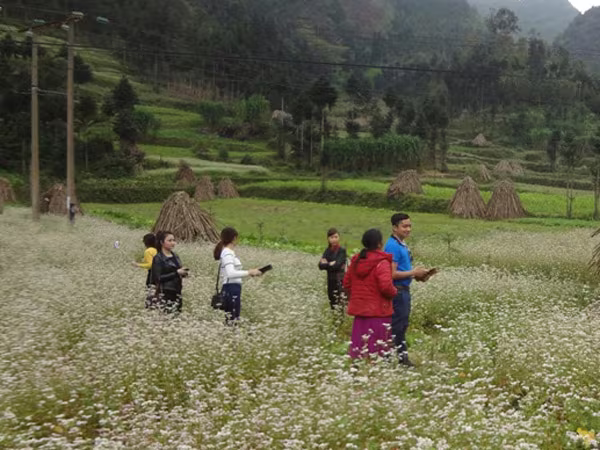 Du lịch Hà Giang (1): Nơi duy nhất chỉ "hợp đồng" bằng tin nhắn và điện thoại ảnh 2 Du lịch Hà Giang (1): Nơi duy nhất chỉ "hợp đồng" bằng tin nhắn và điện thoại ảnh 2