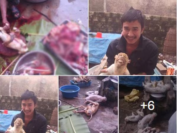 Điều tra vụ thanh niên khoe ảnh hàng loạt con khỉ bị giết lên facebook ảnh 1 Điều tra vụ thanh niên khoe ảnh hàng loạt con khỉ bị giết lên facebook ảnh 1