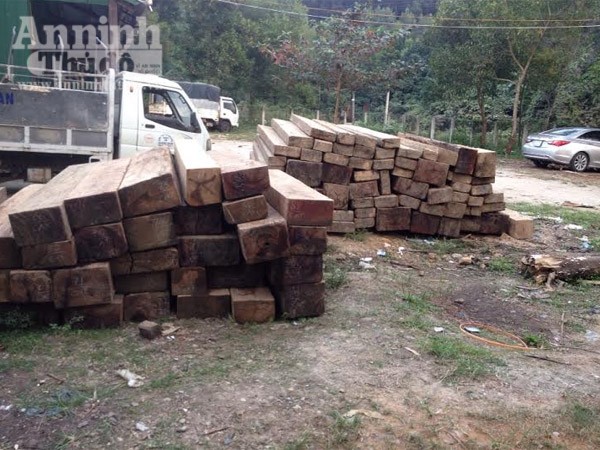Quảng Nam: Phát hiện gần 18m3 gỗ vô chủ thả trôi trên sông Vu Gia ảnh 2 Quảng Nam: Phát hiện gần 18m3 gỗ vô chủ thả trôi trên sông Vu Gia ảnh 2