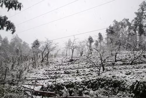 Audio 20-1-2016: Không bắn pháo hoa trên cầu Nhật Tân dịp Tết Nguyên đán Bính thân ảnh 3