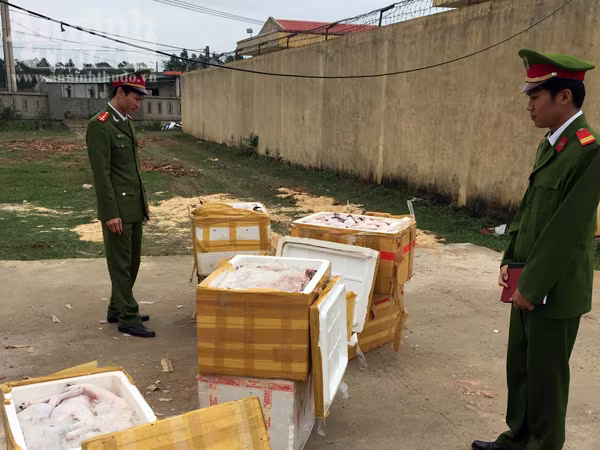 Xe khách vận chuyển hơn nửa tấn thịt chó, mèo bốc mùi hôi thối ảnh 1