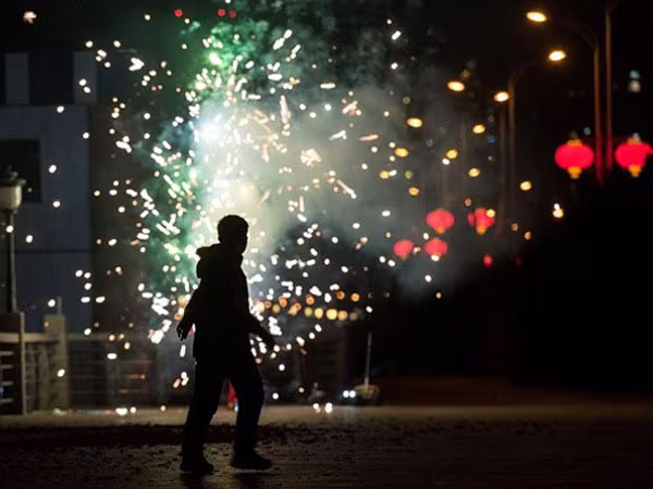 Không khí năm mới 2016 rộn ràng khắp các nước Châu Á ảnh 8