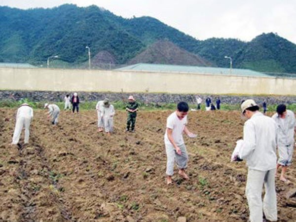 Gặp những người ăn Tết trong trại cai nghiện ma túy ảnh 1 Gặp những người ăn Tết trong trại cai nghiện ma túy ảnh 1