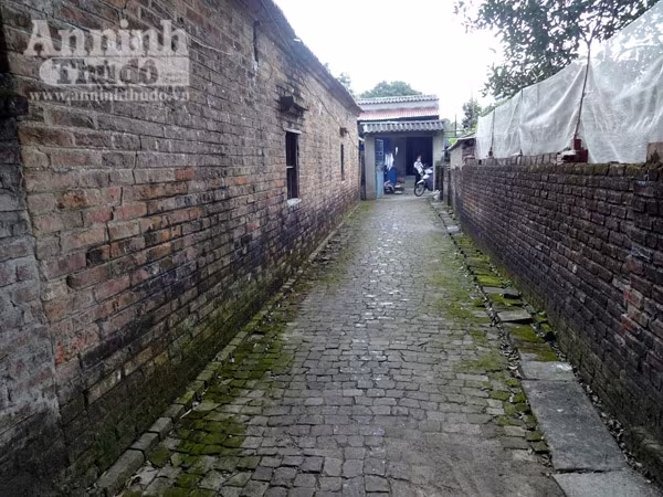 Tiếc nuối ngôi làng được mệnh danh là "Hollywood Việt" ảnh 12