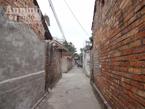 Tiếc nuối ngôi làng được mệnh danh là "Hollywood Việt" ảnh 2