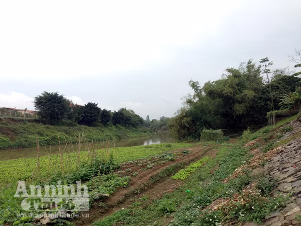 Tiếc nuối ngôi làng được mệnh danh là "Hollywood Việt" ảnh 13