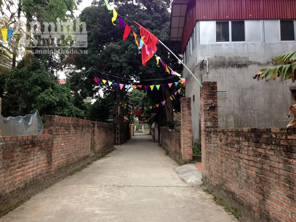 Tiếc nuối ngôi làng được mệnh danh là "Hollywood Việt" ảnh 9