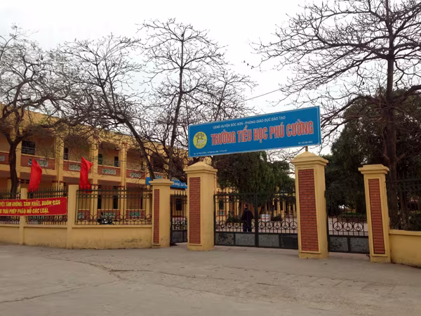 Tiếc nuối ngôi làng được mệnh danh là "Hollywood Việt" ảnh 14