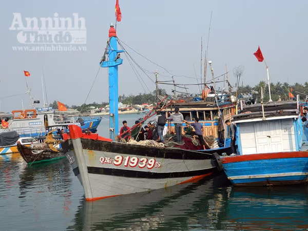 Ngư dân Quảng Nam kể lại vụ tàu Trung Quốc cướp phá tàu cá ảnh 1 Ngư dân Quảng Nam kể lại vụ tàu Trung Quốc cướp phá tàu cá ảnh 1