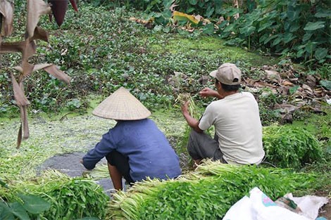 Audio 4-4-2016: Sập mái công trình nhà văn hóa thôn, 10 người bị thương ảnh 2 Audio 4-4-2016: Sập mái công trình nhà văn hóa thôn, 10 người bị thương ảnh 2