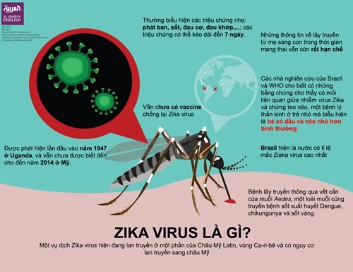 Audio 12-4-2016: Mỹ cảnh báo, virus Zika có thể gây ra hàng loạt biến chứng trong thai kỳ ảnh 3 Audio 12-4-2016: Mỹ cảnh báo, virus Zika có thể gây ra hàng loạt biến chứng trong thai kỳ ảnh 3