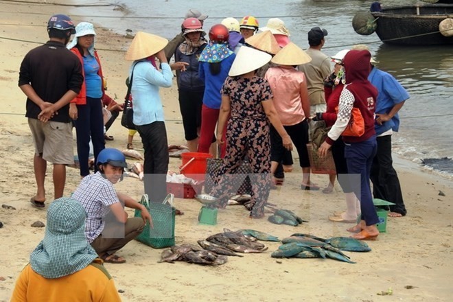 Thủ tướng yêu cầu rà soát các cơ sở xả thải ra biển sau vụ cá chết ảnh 2 Thủ tướng yêu cầu rà soát các cơ sở xả thải ra biển sau vụ cá chết ảnh 2