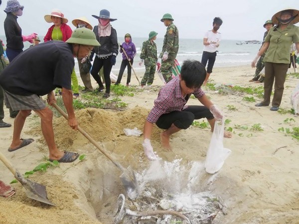 Thủ tướng yêu cầu rà soát các cơ sở xả thải ra biển sau vụ cá chết ảnh 1 Thủ tướng yêu cầu rà soát các cơ sở xả thải ra biển sau vụ cá chết ảnh 1