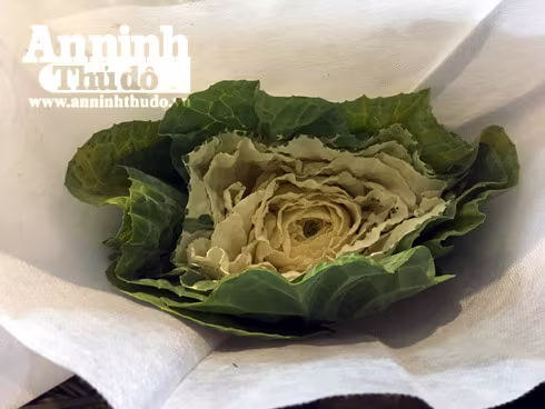 Trắng đêm ở chợ hoa Quảng Bá ngày cận Tết ảnh 6 Trắng đêm ở chợ hoa Quảng Bá ngày cận Tết ảnh 6