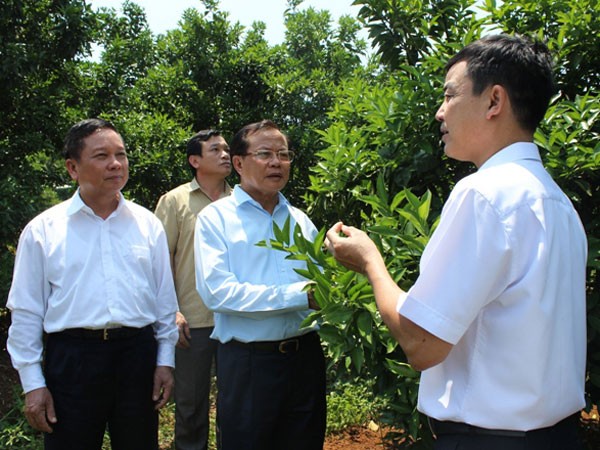Khơi dậy tiềm năng, nhân lên sức mạnh liên vùng ảnh 1 Khơi dậy tiềm năng, nhân lên sức mạnh liên vùng ảnh 1