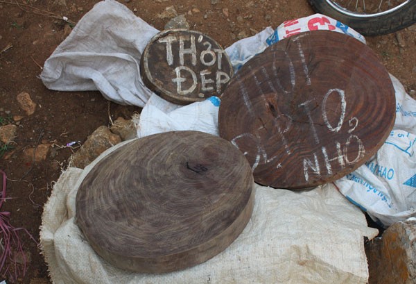 Thớt nghiến “băm nát” rừng Phong Quang ảnh 3 Thớt nghiến “băm nát” rừng Phong Quang ảnh 3